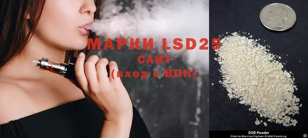 ешки Аркадак