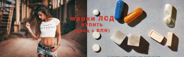 ешки Аркадак
