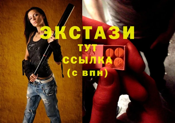 хмурый Арсеньев