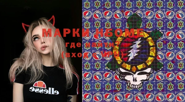 хмурый Арсеньев