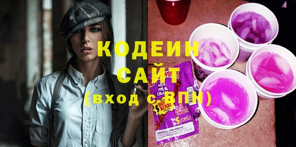 хмурый Арсеньев