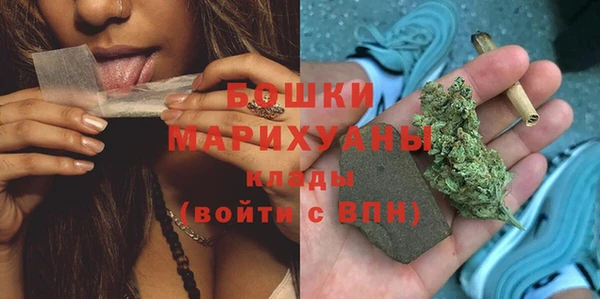 хмурый Арсеньев