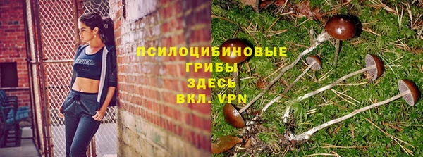 хмурый Арсеньев