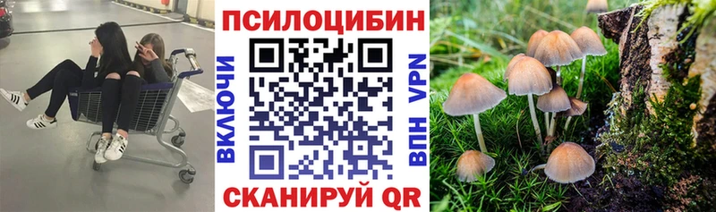 Галлюциногенные грибы ЛСД  Мосальск 